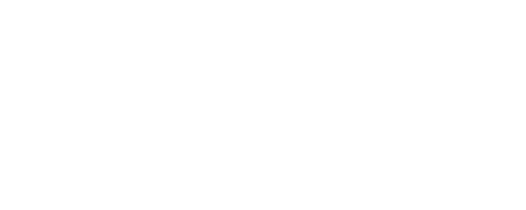BosyKon